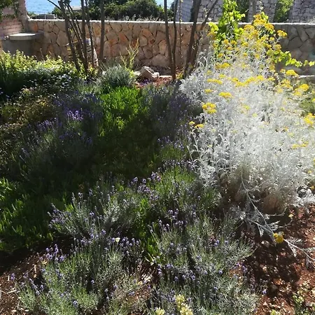 Kuca Za Odmor Maruska Hébergement de vacances *