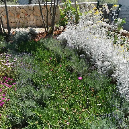 Kuca Za Odmor Maruska * Drvenik Mali