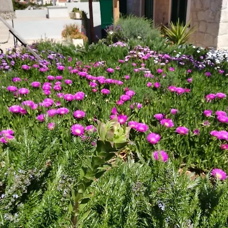 Kuca Za Odmor Maruska Hébergement de vacances Drvenik Mali