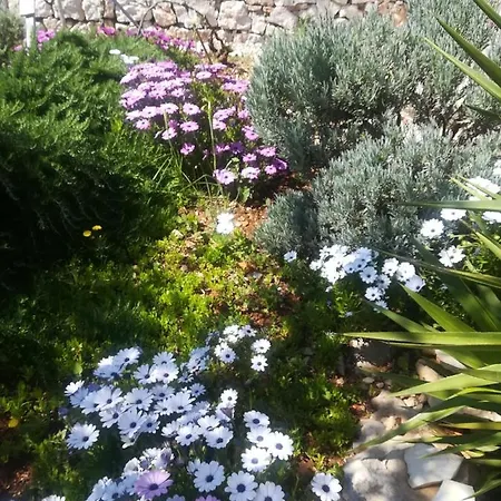 Hébergement de vacances Kuca Za Odmor Maruska