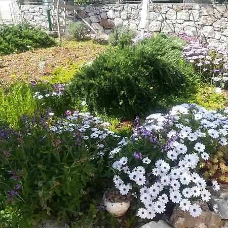 Kuca Za Odmor Maruska Hébergement de vacances Drvenik Mali