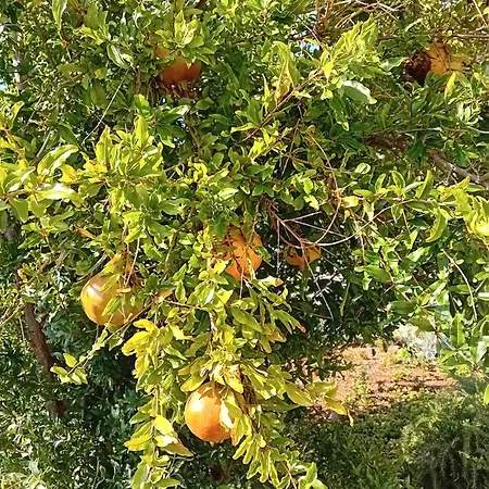 Kuca Za Odmor Maruska *